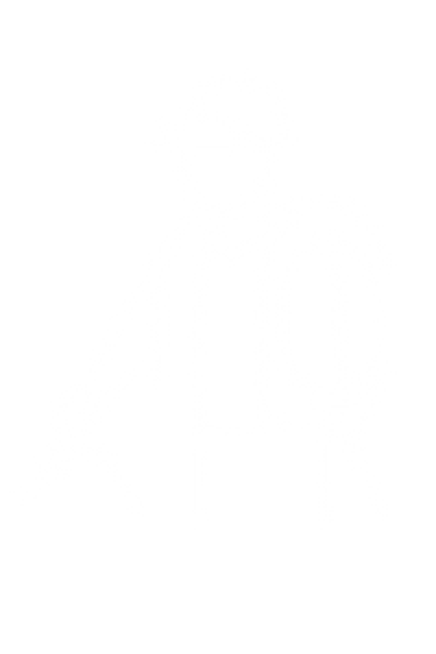 Portada (8)
